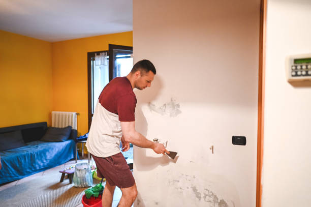 Best Mold Cleaning Services  in West Monroe, MI